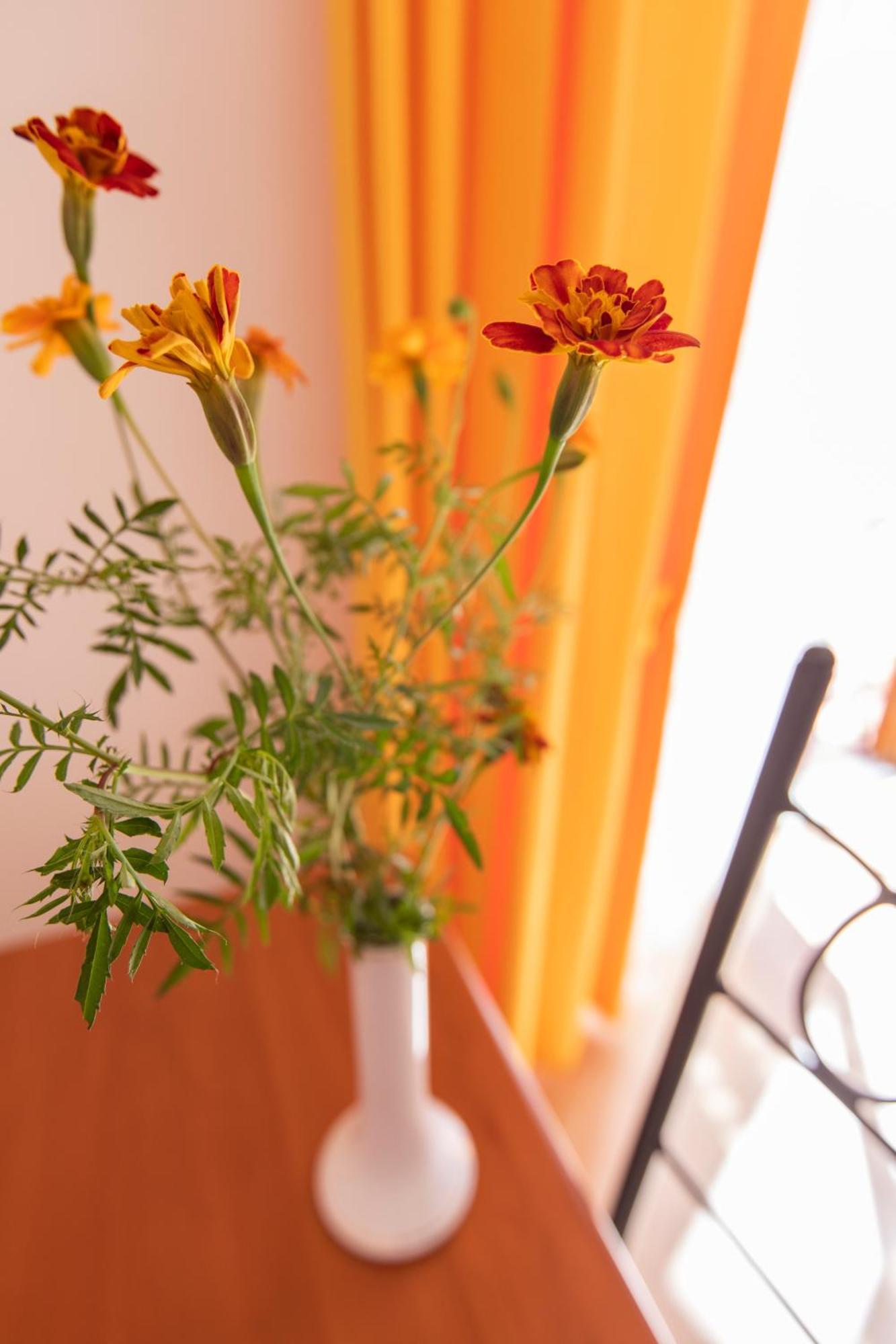 Sant'Anna Bed & Breakfast アジェーロラ エクステリア 写真