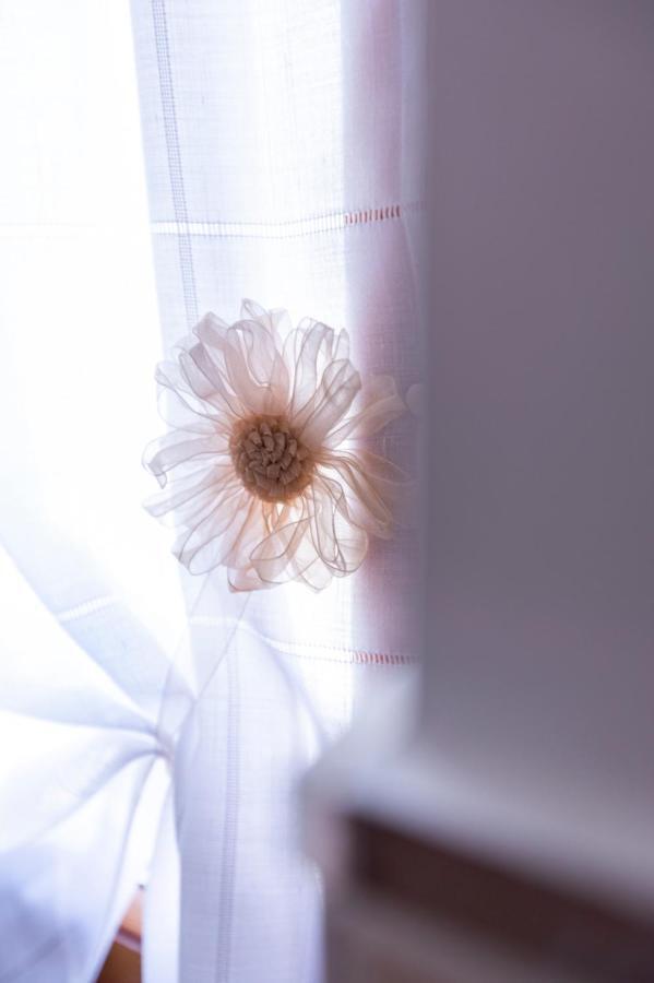 Sant'Anna Bed & Breakfast アジェーロラ エクステリア 写真